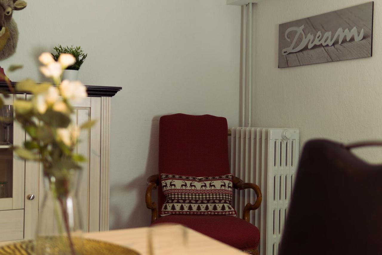 Apartment Hirsch: Wohnung Fuer Die Ganze Familie Mit Disney+ Braunlage Exterior foto